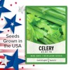 Gardeners Basics, Celery Seeds for Planting - UT 52-70 Variety