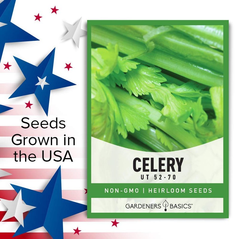 Gardeners Basics, Celery Seeds for Planting - UT 52-70 Variety