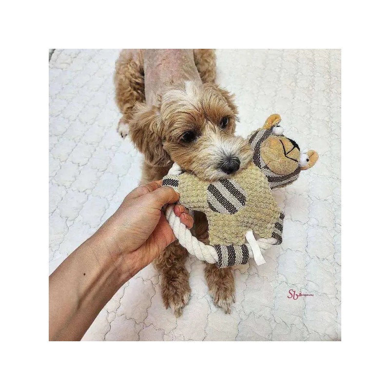 강아지 터그놀이 모양과잉행동교정 전신운동bcd648 Puppy Tug Toy Shape and Excessive