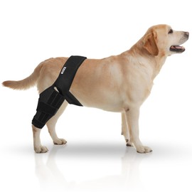 YSPet Premium Dog ACL Knee Brace for Torn ACL, CCL - Dog Knee Brace with Adjustable Straps -Medium