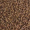 Oh Herb 500g domestic roasted gyeolmyeongja gyeolmyeongja tea / 국산