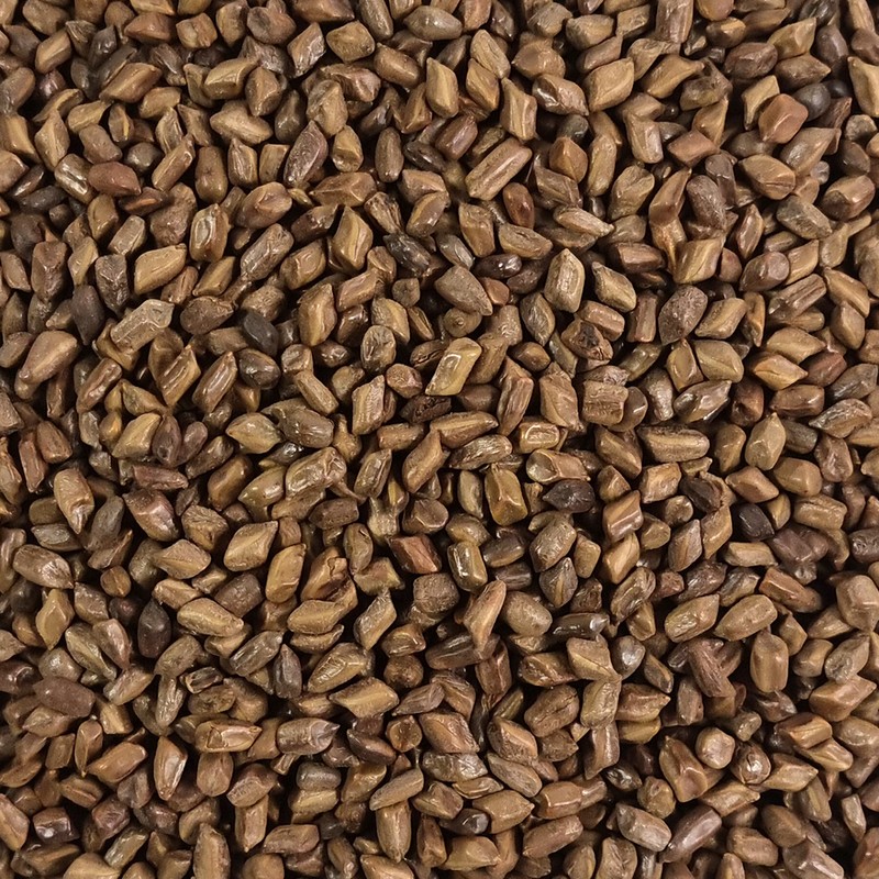 Oh Herb 500g domestic roasted gyeolmyeongja gyeolmyeongja tea / 국산