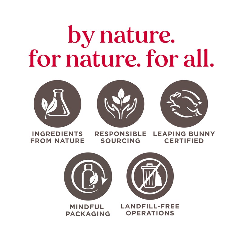 Burt's Bees Hydrating Face Mask with Clary Sage, Single Use