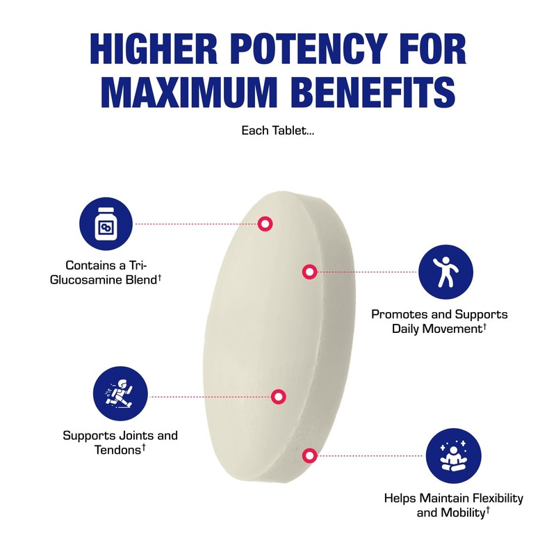 High Absorption Glucosamine Chondroitin MSM - Clinical Formula Bone Joint