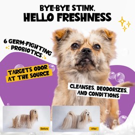 Roofus Dog Shampoo 1 Pack - Snuggle Sesh Probiotic Pet Shampoo for Deodorizing & Itching - Dog Hypoallergenic Shampoo for Skin Infections - Pet Shampoo Helps Shedding & Grooming Supplies