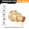 HeSun 40-Pack Brass Press Fitting Adapter,3/4" PRESS X 3/4" PEX