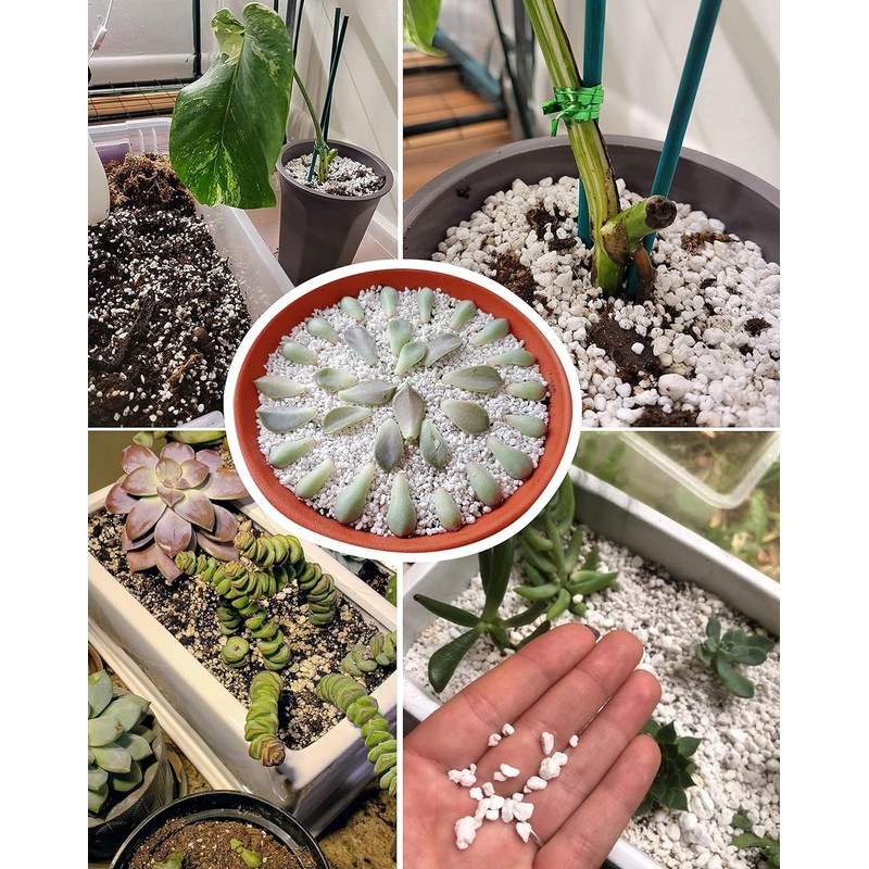 50 QT Professional Grade Horticultural Organic Vermiculite and Perlite (Perlite,