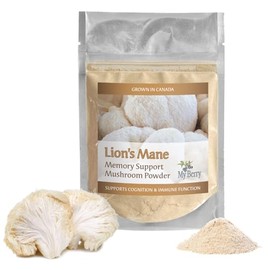 Lions Mane Mushroom Powder, Memory Support, 2oz, Grown in Canada, Women-Owned Small Business, Lion's Mane