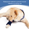 Coodeo Dog Recovery Suit, Cone Collar Alternative, Abrasion Resistant Dog