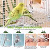 FUATY Stainless Steel Bird Perch for Cage, Open-Grid Easy Clean