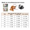 Bozal Para Perro De Entrenamiento Todas Las Tallas