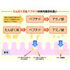 Limitest Whey Peptide Whey Peptide For BodyBuilding 500g Ultra Low