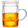 Unbreakable Glass Tea Cup with Infuser and Lid - 17oz