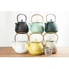 TOPTIER Japanese Cast Iron Tea Kettle with Infuser, Leaf Design