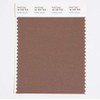 Pantone Cotton Swatch Card Color Standard, Color # 18-1307, Coffee