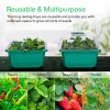 VIVOSUN 12-Pack Seed Starter Trays 144-Cell Germination Reusable Humidity Domes