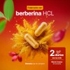 B Life Berberina HCL Pura 1000 mg | 200 Cápsulas