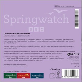 Abacus Cards Birthday/Blank Card for Men/Women - General Male/Female Card - Common Kestrel in Heather - Eco-Friendly and Recyclable