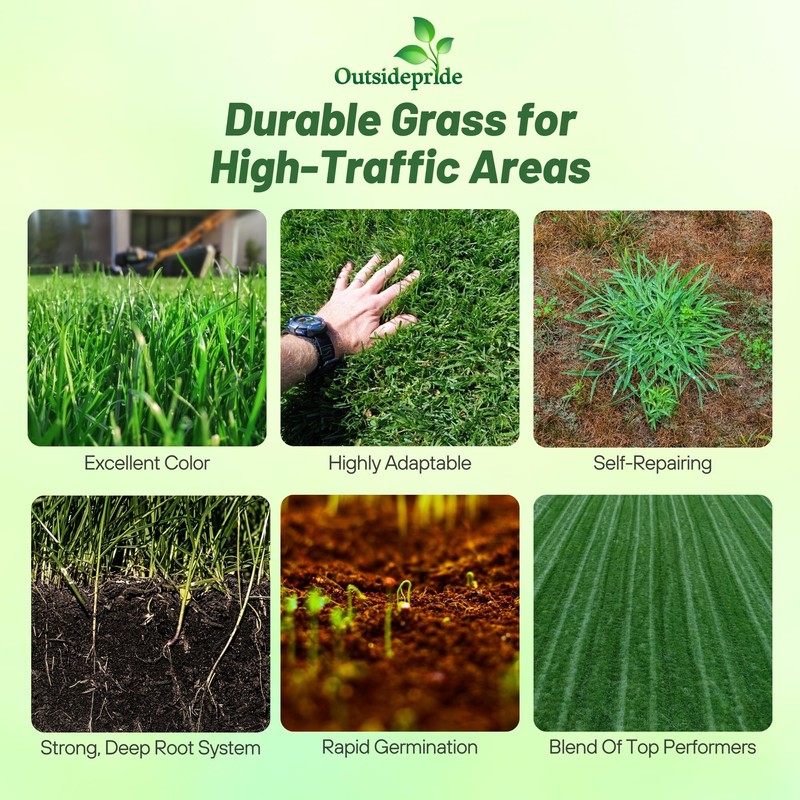 Outsidepride Combat Extreme Transition Zone Grass Seed Blend for Lawn