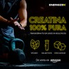 EnergizeX Creatina Premium 100% Monohidratada De Alta Pureza