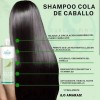 Shampoo Sheló Nabel Cola De Caballo 2 Pack