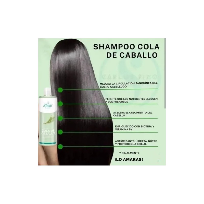 Shampoo Sheló Nabel Cola De Caballo 2 Pack