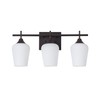 Osimir 3-Light Bathroom Lighting Fixtures Over Mirror, 21" Oil Rubbed