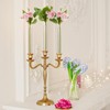 Ninehaoou 10 Pack 7.9" Glass Bud Vase Taper Candle Holder's