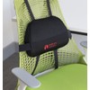 Posture Cushion Mini Lumbar Support Cushion With High Density Foam