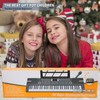 61 keys keyboard piano, Electronic Digital Piano with Built-In Speaker