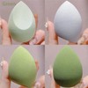 Ns Beauty Makeup Sponge Set Beauty Blender with Egg Case,