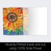 Tree-Free Greetings Boxed Set ECOnotes- Blank Stationary Notecards with Envelopes,