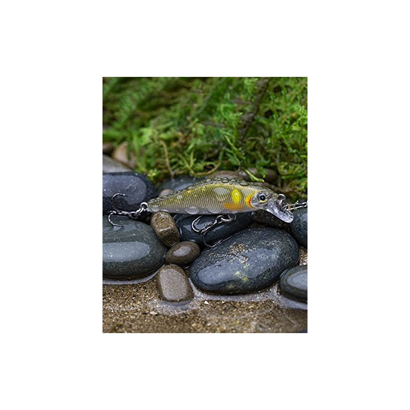 Shadow Rap Solid SHAD 05 AYU