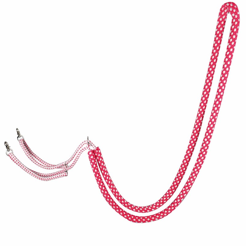 Longierhilfe Red / Grey / Longiertrainingssystem / Longierzügel Longing System