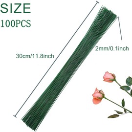 QEEROYO Iron Floristry Wire, Green, Pack of 100, 30 cm, Floral Wire Plug-In Wire, for Floral Arrangements and Crafting Wreaths and Bouquets