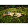 Top Collection Miniature Fairy Garden and Terrarium Statue, Sleeping Fairy
