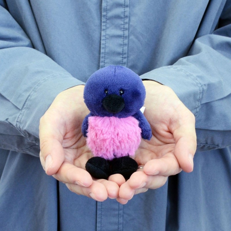 Niki Key Holder, Pink Robin, 3.9 inches (10 cm), Bird,