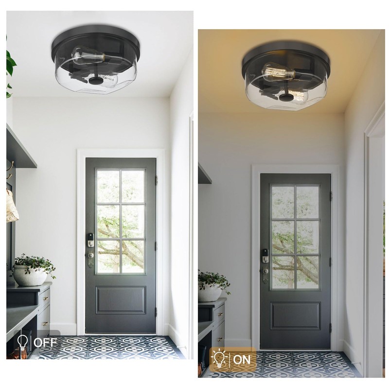 Luminzone Flush Mount Ceiling Light with Clear Glass Shade, 2-Light