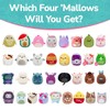 Squishmallows Mystery Box 8-Inch 4-Pack, May Contain Assorted Characters, Items