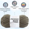 Premier Basix Chunky Knitting Yarn Lichen 1145-35 (3-Pack) Same Dye