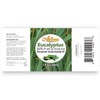 Artizen Eucalyptus Essential Oil - 30ml (100% Pure & Natural