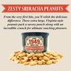 The 1949 Nut Co. Zesty Sriracha Peanuts, 10 OZ