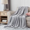 EHEYCIGA Fleece Blanket Silver Grey Throws for Sofas Fluffy Warm