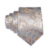 Mens ties Ties for men Paisley Tie handkerchief pocket square