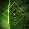 바론 모링가 리페어링 샴푸, 1L, 1개 Baron Moringa Repairing Shampoo,