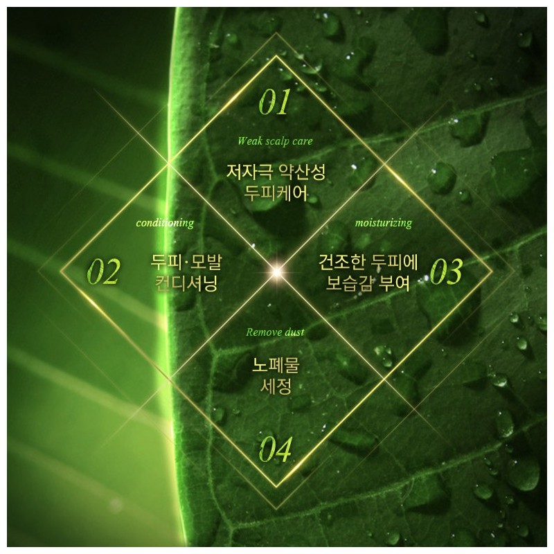 바론 모링가 리페어링 샴푸, 1L, 1개 Baron Moringa Repairing Shampoo,