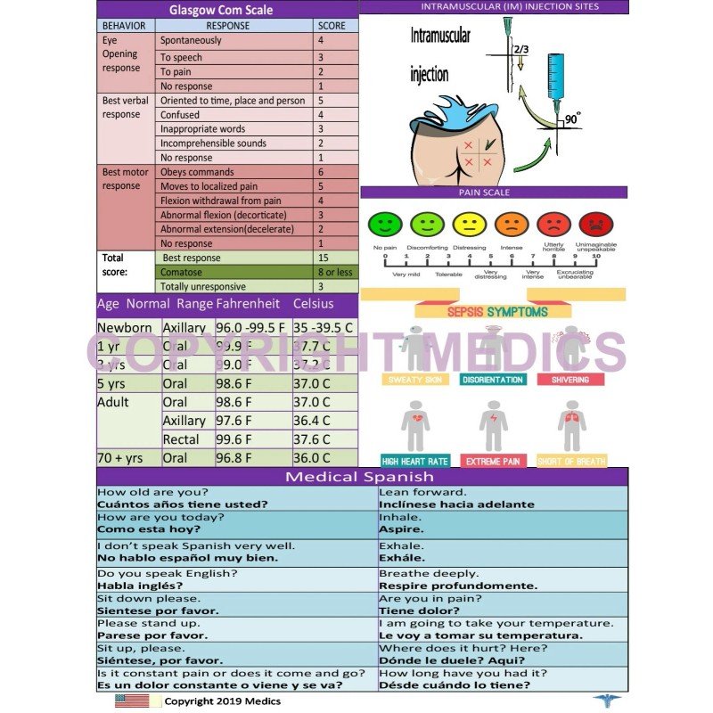medics Nursing Clipboard -PURPLE -reference sheets -great for clinical