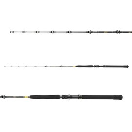 DAIWA BG Big Game 30-50lbs, 5.50 Ft, 3 Parts, with Tip Rollerring, Progressive Action, Big Game Saltwater Fishing Rod