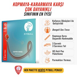 Pitbull Coated Series Nano Polymer Coated Electric Guitar Strings - 3-5x More Durable, Superior Sound Quality, Fret-Friendly CEG (CEG 10-46 L Light)