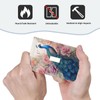 HLCoChTDecorative Art Light Switch Covers Peacock Amidst a Blush of